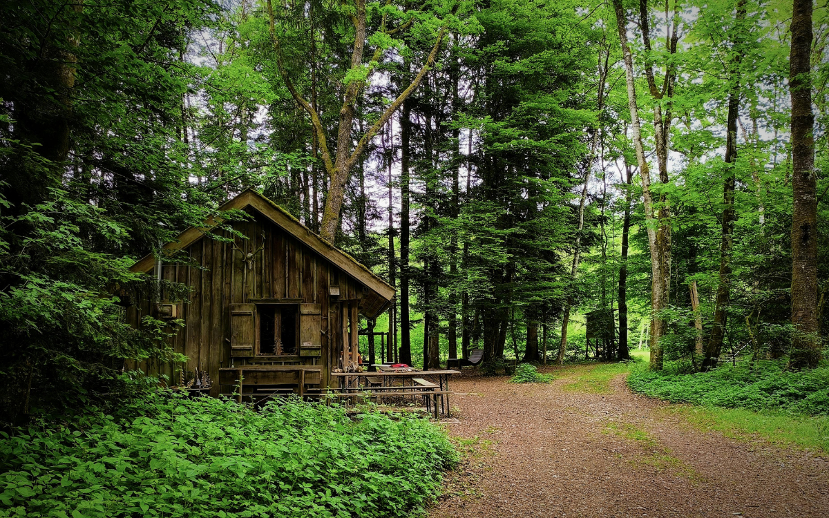 Why More People Are Leaving the City for Rural Life Near Park Falls, Wisconsin